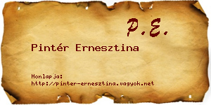Pintér Ernesztina névjegykártya